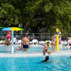 Белый лебедь база отдыха - Изображение 8