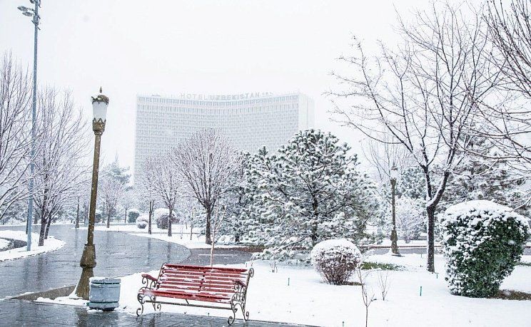 Зимний сквер, Ташкент