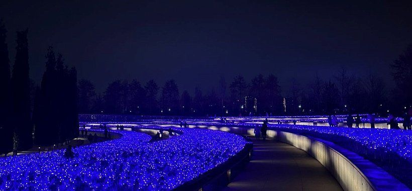 Вне дома-Краснодар! Новогоднее ожерелье Кубани | 7 дней - Изображение 0