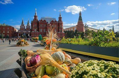 Осенняя Москва: куда пойти и что посмотреть