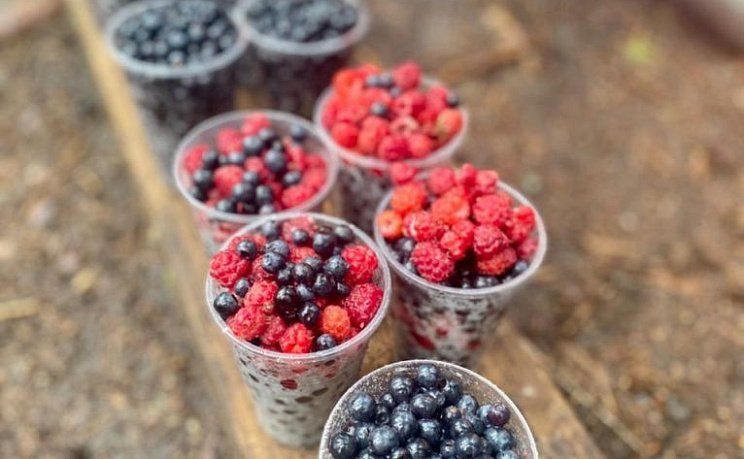 Лучшее в Карелии за 4 дня: Кижи, Петрозаводск, Сортавала и Рускеала - Изображение 5