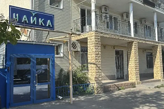 Чайка отель