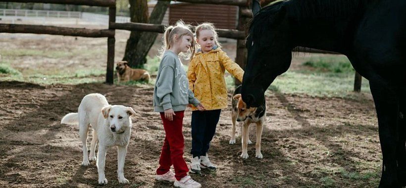 Автобусный тур в Волгоград | Два берега Волги: от Сталинградской славы к казачьей вольнице - Изображение 6