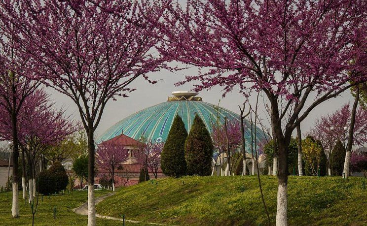 Весенний Ташкент