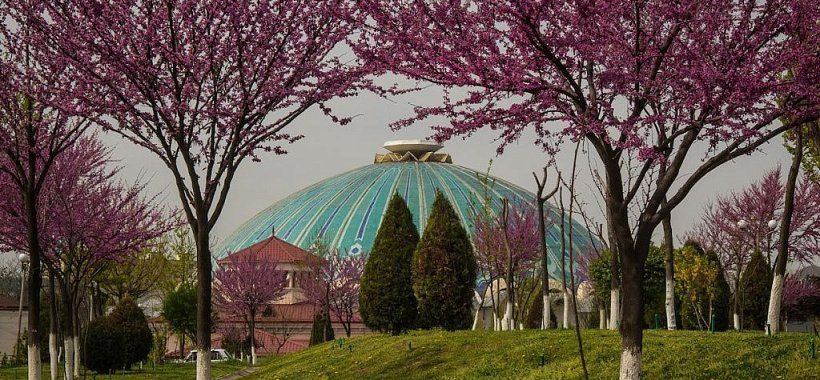 Весенний Ташкент