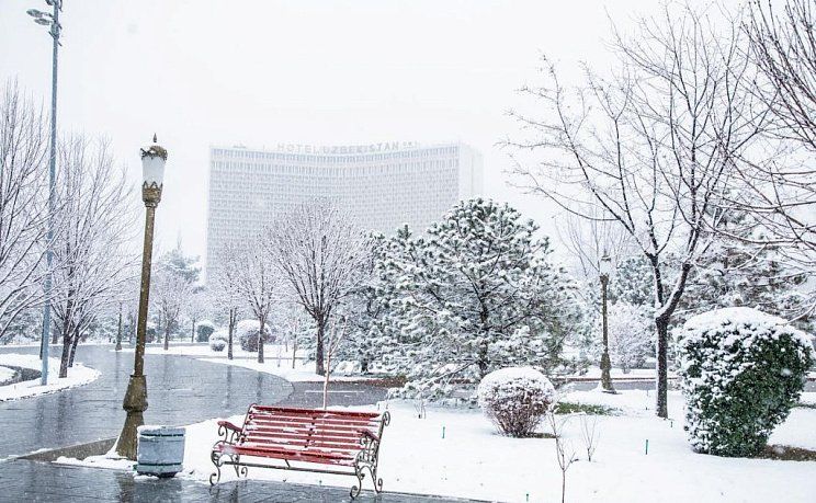 Зимний сквер в Ташкенте