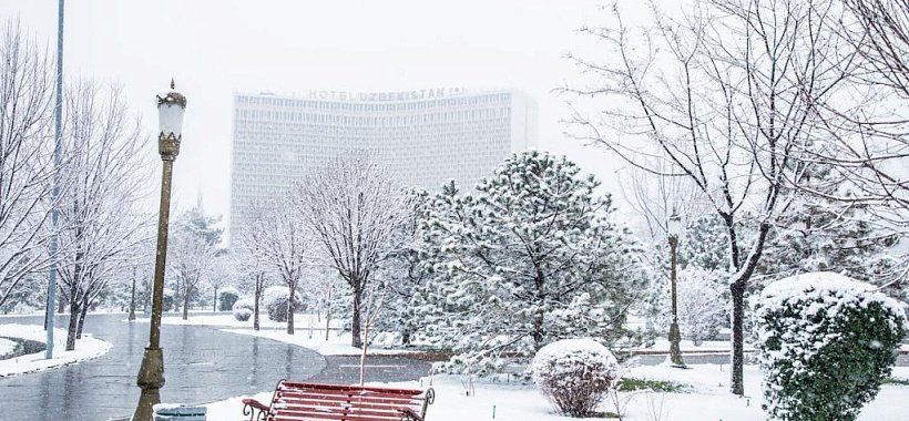 Зимний сквер в Ташкенте