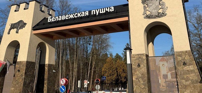 Беловежская пуща