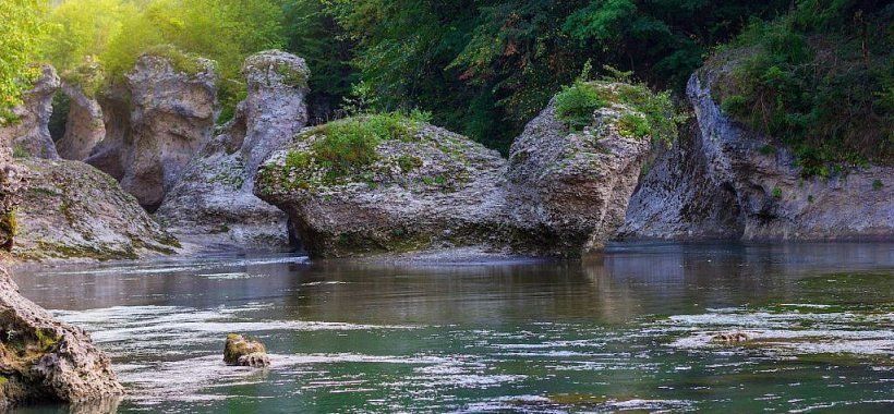 Красивый летний пейзаж горной реки