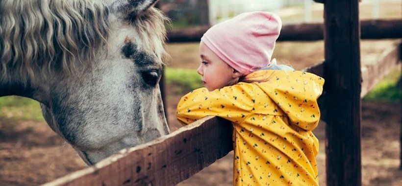 Автобусный тур в Волгоград | Два берега Волги: от Сталинградской славы к казачьей вольнице - Изображение 7