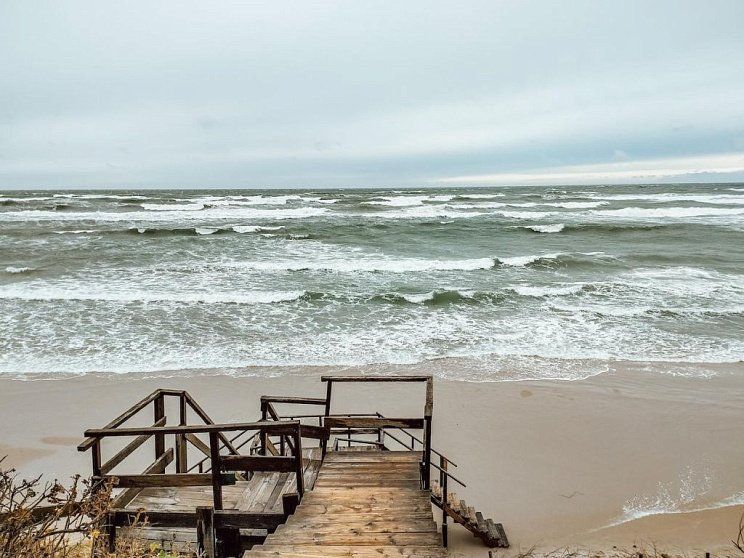 Куршская коса - Изображение 