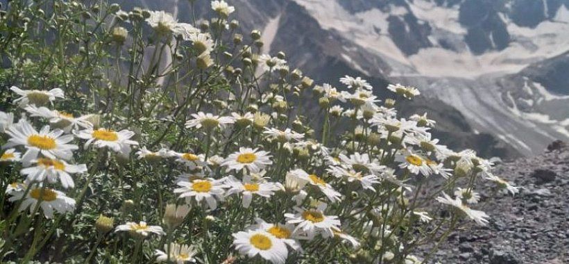 Горы КМВ - Архыз и Домбай, автобусный тур 4 дня (8 дней с дорогой) - Изображение 0