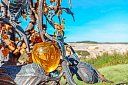 Вечерний Калининград