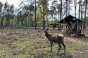Брестская крепость Белоруссия