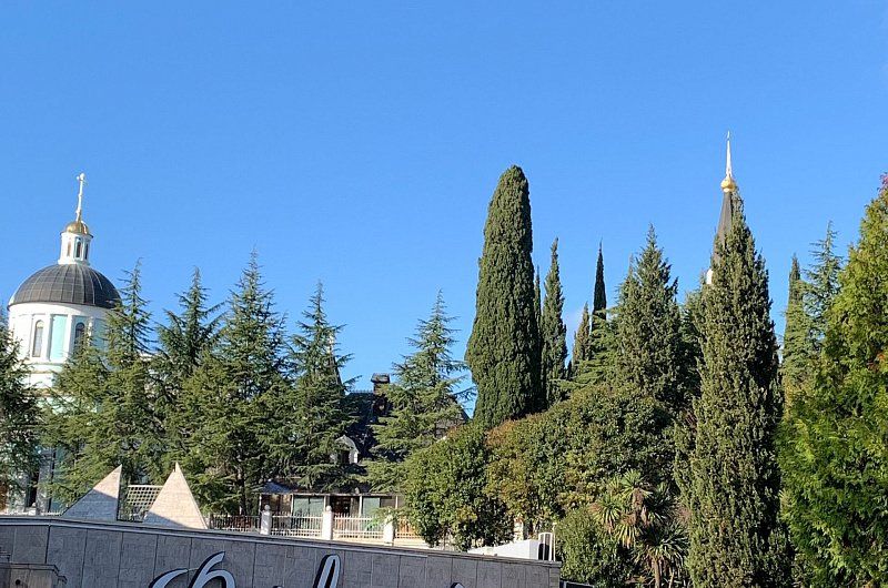 Ольга Русских - Изображение 0