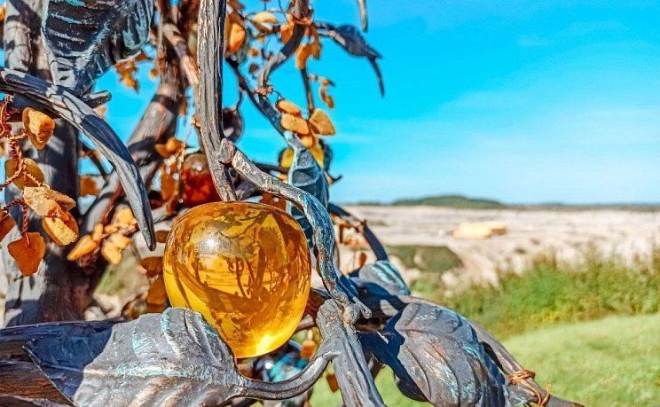 Янтарный край Калининград