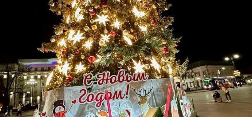 Новогодняя елка Владикавказ