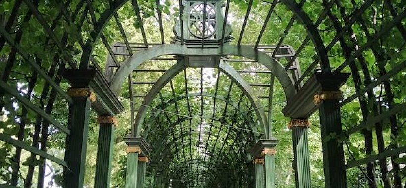 Каникулы в Санкт-Петербурге, 5 дней в городе | 8 дней с дорогой - Изображение 10