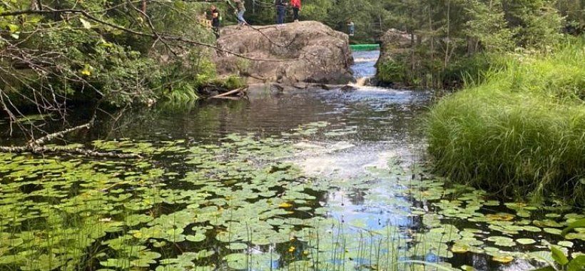 Карельская мозаика + Санкт-Петербург, 4 дня | 6 дней с дорогой - Изображение 10
