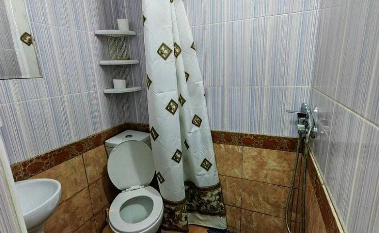 Туалет и душ в номере Виктория Манаскент