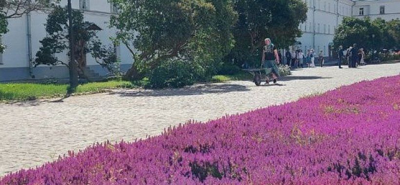 Карельская мозаика + Санкт-Петербург, 4 дня | 6 дней с дорогой - Изображение 12