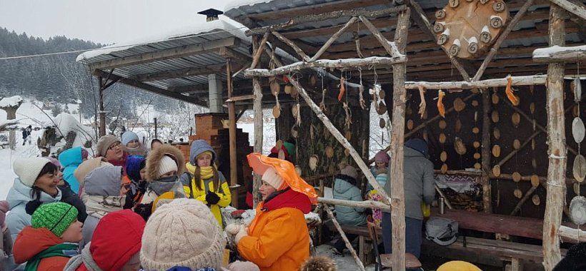 Новогодний автобусный тур Ижевск-Дед Мороз-Термы-Зоопарк (ч) - Изображение 12