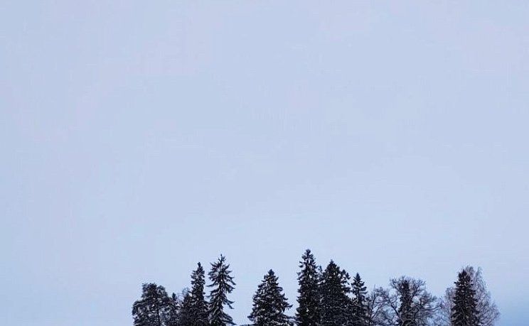 Природа Выборга