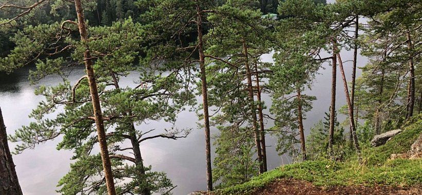 Карельская мозаика + Санкт-Петербург, 4 дня | 8 дней с дорогой - Изображение 2