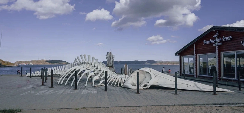 Дыхание арктики: Мурманск, Териберка, Кировск | автобусный тур - Изображение 10