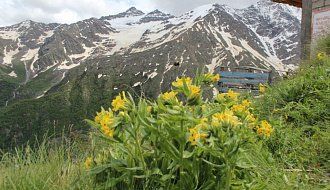 Величие гор Кавказа: Эльбрус, курорт Домбай (автобус)