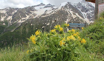 Величие гор Кавказа автобусный тур 4 дня (7 дней с дорогой)