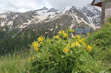 Величие гор Кавказа: Эльбрус, курорт Домбай (автобус)