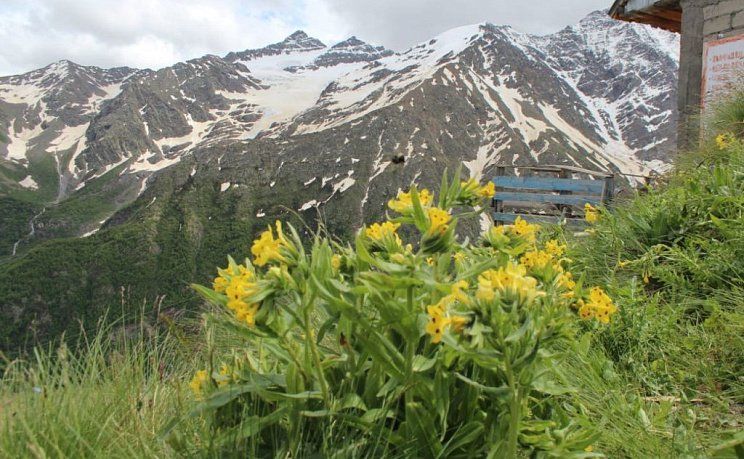 Величие гор Кавказа: Эльбрус, курорт Домбай (автобус) - Изображение 0