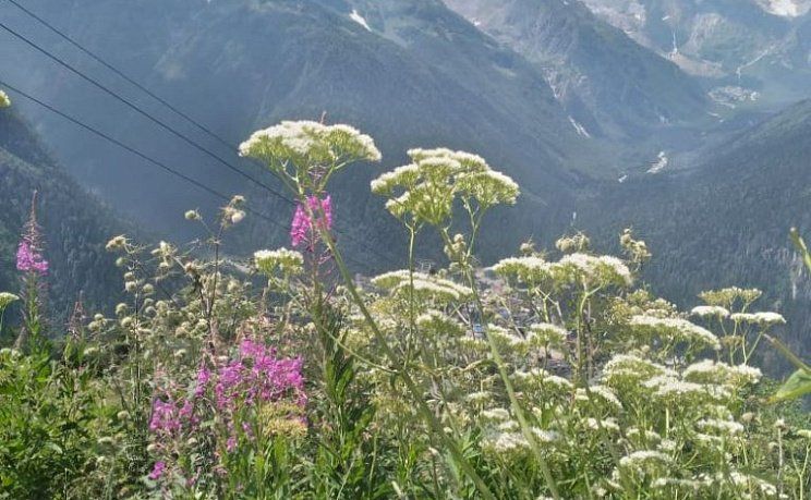 Величие гор Кавказа: Эльбрус, курорт Домбай (автобус) - Изображение 23