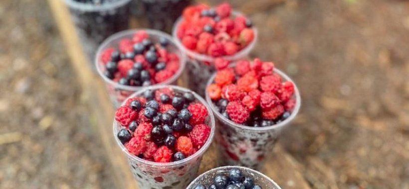 Карельская мозаика + Санкт-Петербург, 4 дня | 8 дней с дорогой - Изображение 1