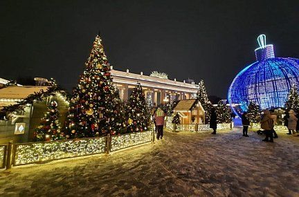 Новогодние автобусные туры в Москву (с)